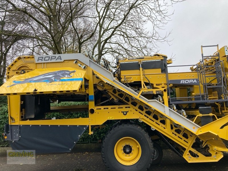 Kartoffelroder от тип ROPA Keiler 2 L RK22 *Überladebunker*, Gebrauchtmaschine в Kevelaer (Снимка 12)