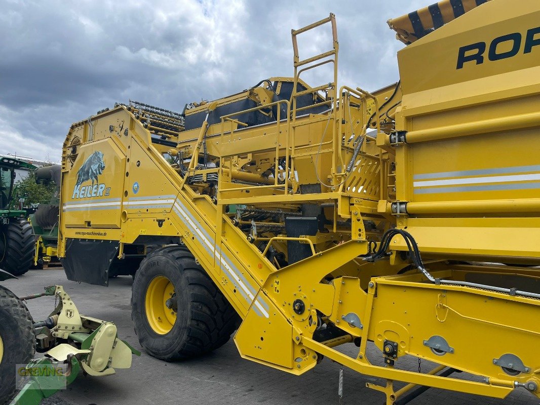 Kartoffelroder typu ROPA Keiler 2, Gebrauchtmaschine v Werne (Obrázek 4)