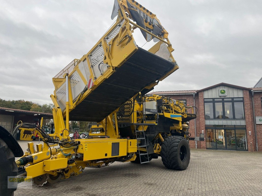 Kartoffelroder typu ROPA Keiler 2, Gebrauchtmaschine v Ahaus (Obrázek 13)