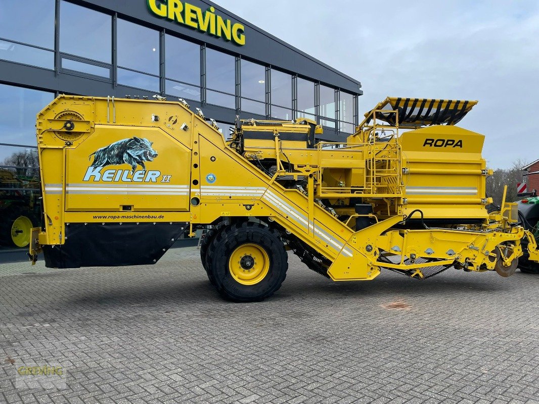 Kartoffelroder des Typs ROPA Keiler 2, Gebrauchtmaschine in Ahaus (Bild 4)