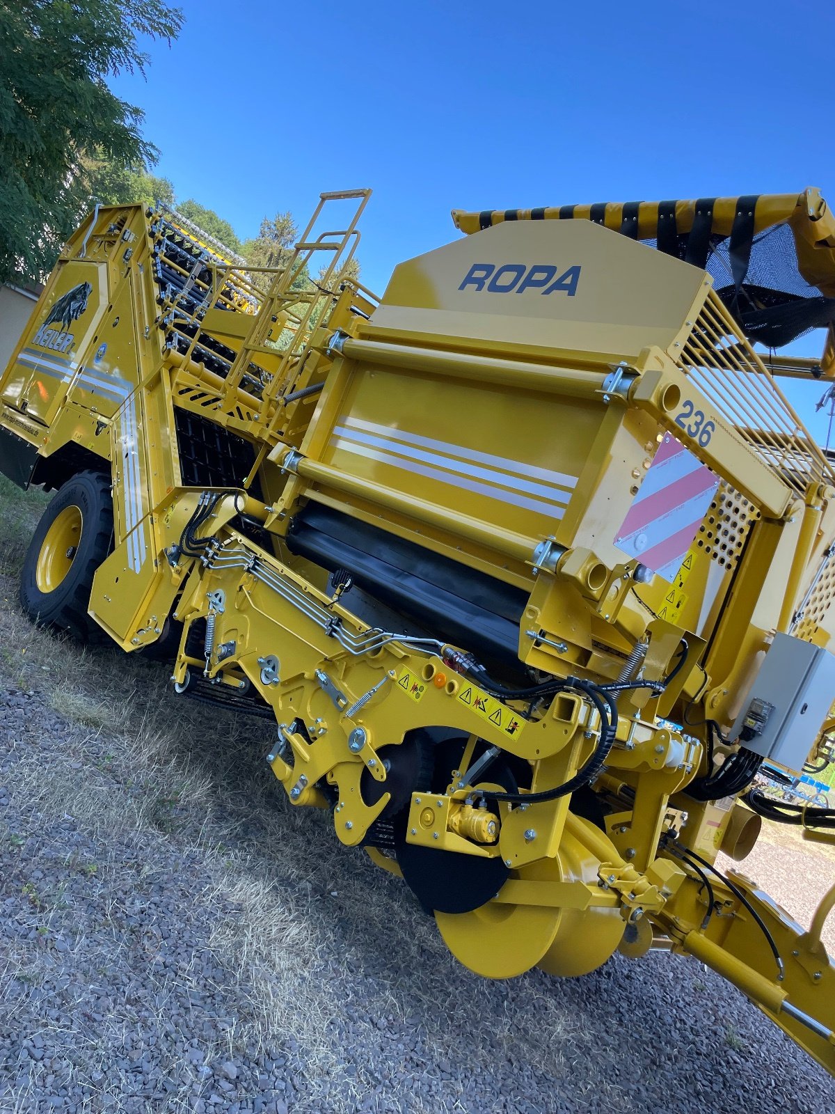 Kartoffelroder des Typs ROPA Keiler I, Gebrauchtmaschine in Lambsborn (Bild 3)