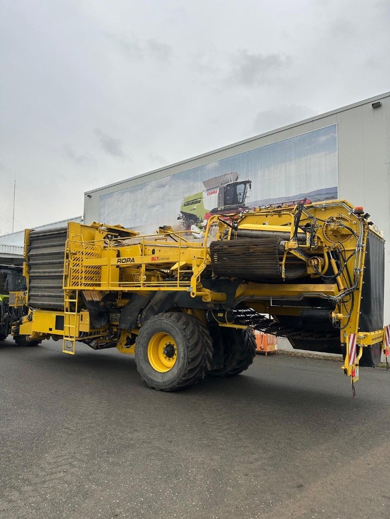 Kartoffelroder typu ROPA Keiler II Classic, Gebrauchtmaschine v Heiligengrabe OT Liebenthal (Obrázek 19)