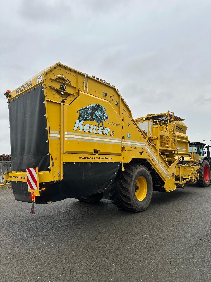 Kartoffelroder typu ROPA Keiler II Classic, Gebrauchtmaschine v Heiligengrabe OT Liebenthal (Obrázek 17)