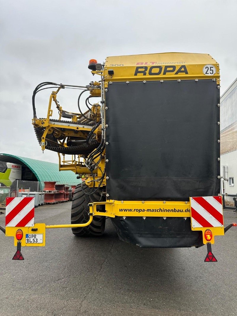 Kartoffelroder typu ROPA Keiler II Classic, Gebrauchtmaschine v Heiligengrabe OT Liebenthal (Obrázek 4)