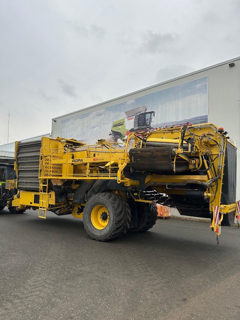 Kartoffelroder typu ROPA Keiler II Classic, Gebrauchtmaschine v Heiligengrabe OT Liebenthal (Obrázek 15)