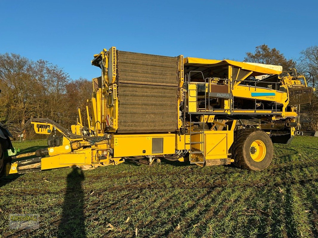 Kartoffelroder des Typs ROPA Keiler II Classic, Gebrauchtmaschine in Ort - Kunde (Bild 2)