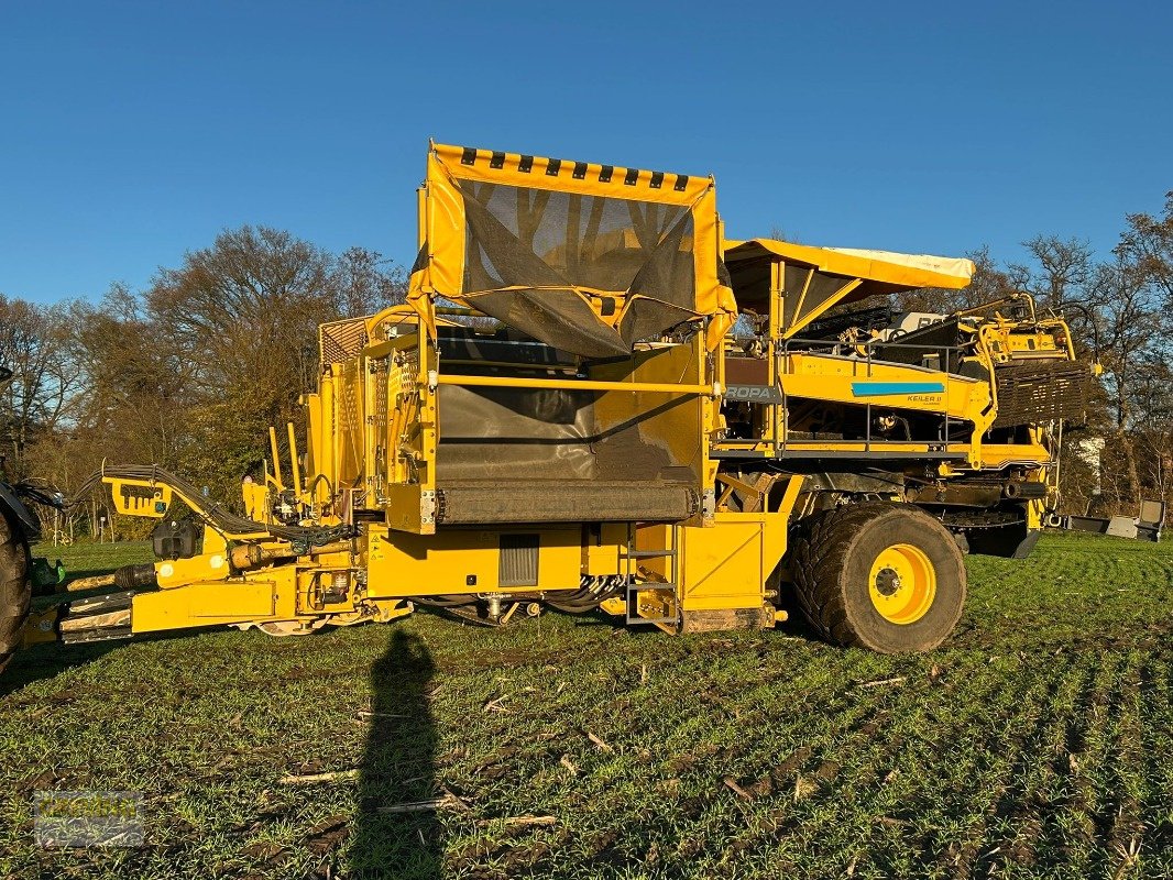 Kartoffelroder des Typs ROPA Keiler II Classic, Gebrauchtmaschine in Ort - Kunde (Bild 3)