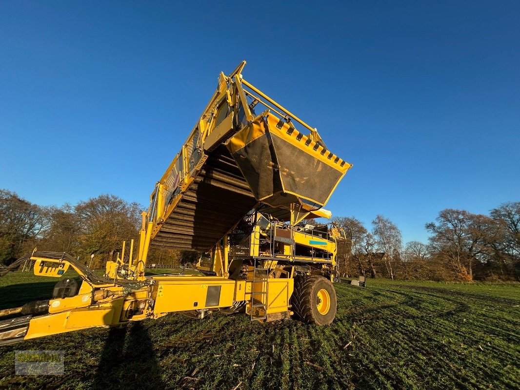 Kartoffelroder des Typs ROPA Keiler II Classic, Gebrauchtmaschine in Ort - Kunde (Bild 4)