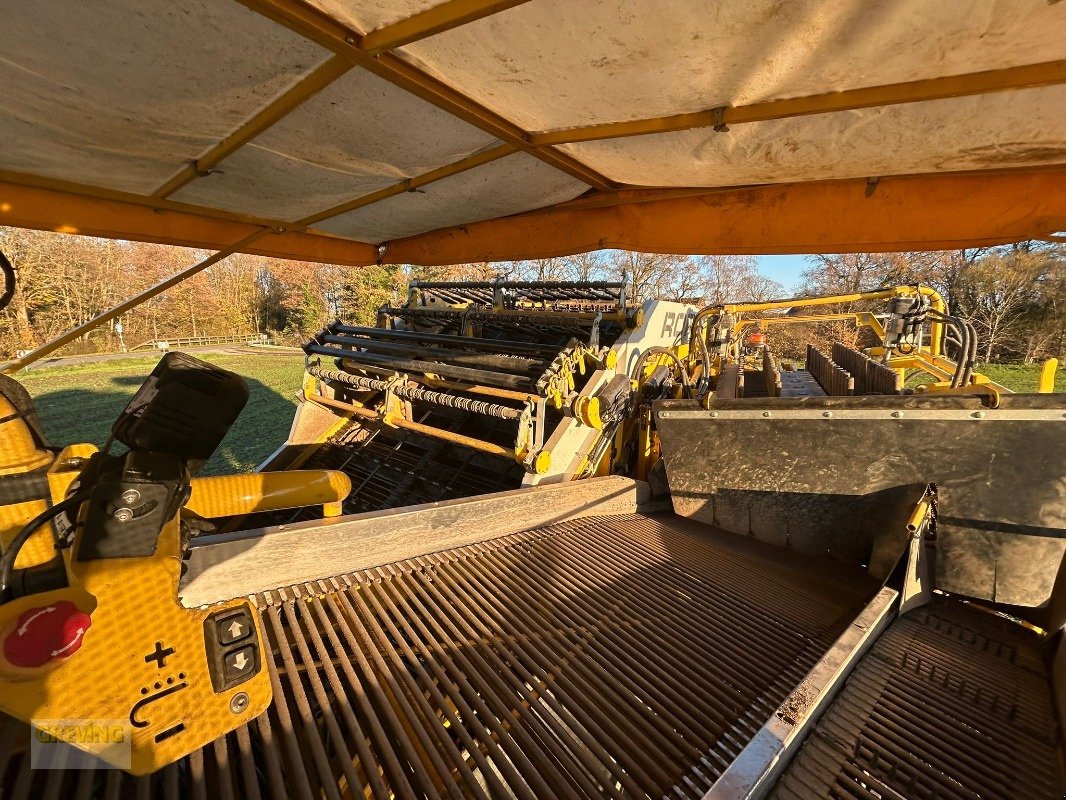 Kartoffelroder des Typs ROPA Keiler II Classic, Gebrauchtmaschine in Ort - Kunde (Bild 7)