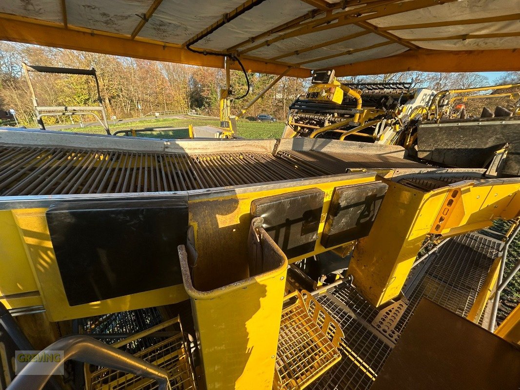 Kartoffelroder des Typs ROPA Keiler II Classic, Gebrauchtmaschine in Ort - Kunde (Bild 8)