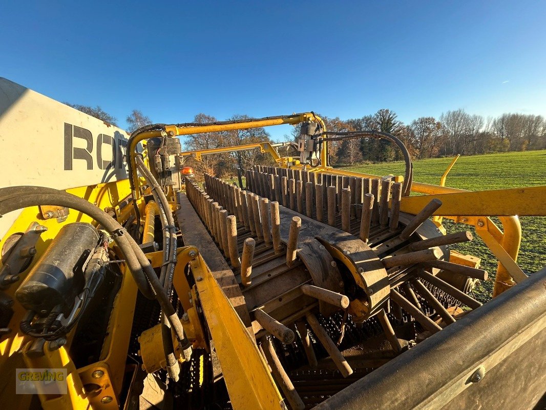 Kartoffelroder des Typs ROPA Keiler II Classic, Gebrauchtmaschine in Ort - Kunde (Bild 12)