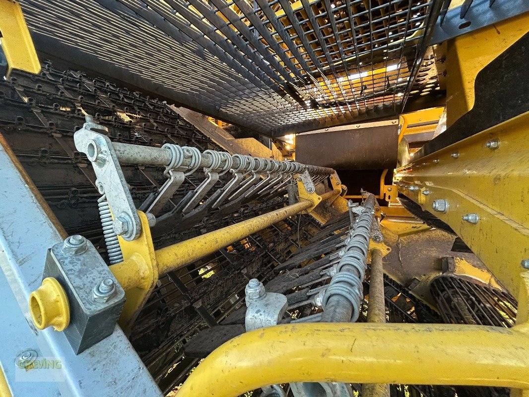 Kartoffelroder des Typs ROPA Keiler II Classic, Gebrauchtmaschine in Ort - Kunde (Bild 13)