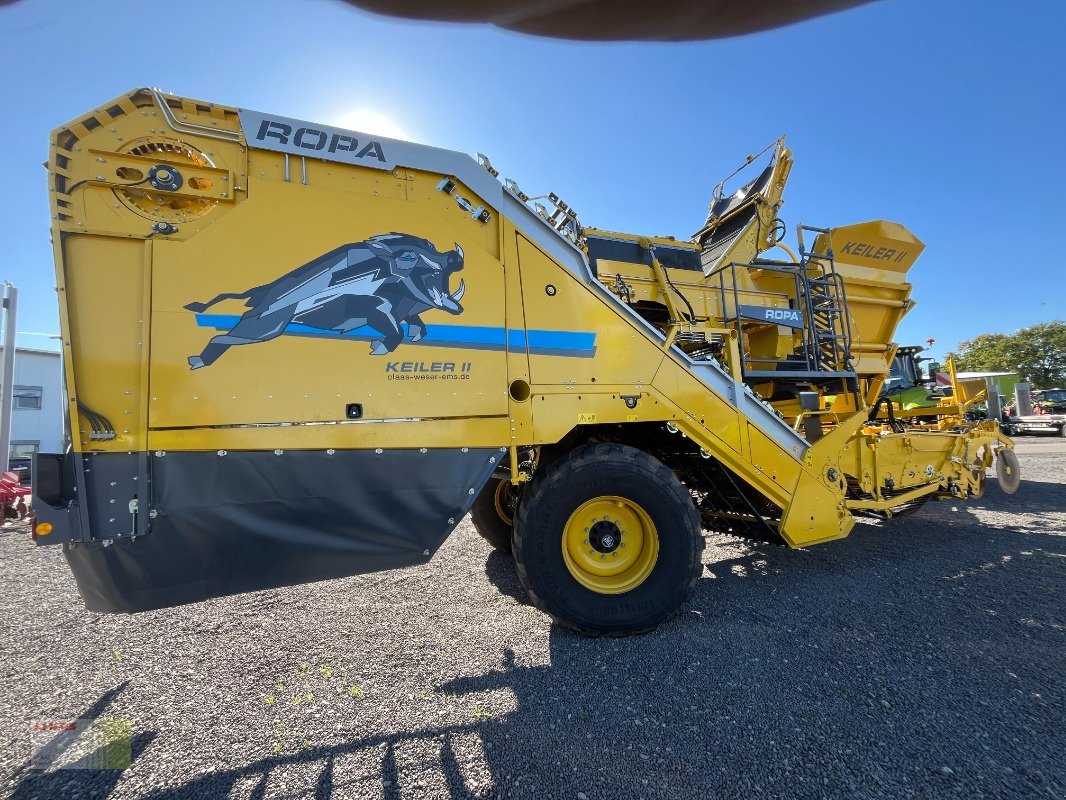 Kartoffelroder typu ROPA KEILER II (RK22), Bunker 7.5 to., nur 92 ha !, Gebrauchtmaschine v Molbergen (Obrázek 5)