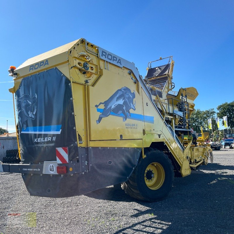 Kartoffelroder typu ROPA KEILER II (RK22), Bunker 7.5 to., nur 92 ha !, Gebrauchtmaschine v Molbergen (Obrázek 13)