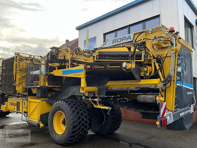 Kartoffelroder van het type ROPA KEILER II  RK22  NonStop Bunker, Vorführmaschine in Asendorf (Foto 10)