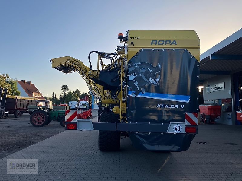 Kartoffelroder a típus ROPA KEILER II  RK22  NonStop Bunker, Vorführmaschine ekkor: Asendorf (Kép 4)