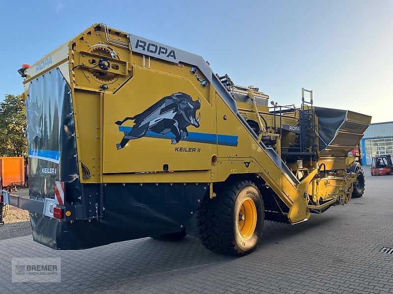 Kartoffelroder a típus ROPA KEILER II  RK22  NonStop Bunker, Vorführmaschine ekkor: Asendorf (Kép 2)