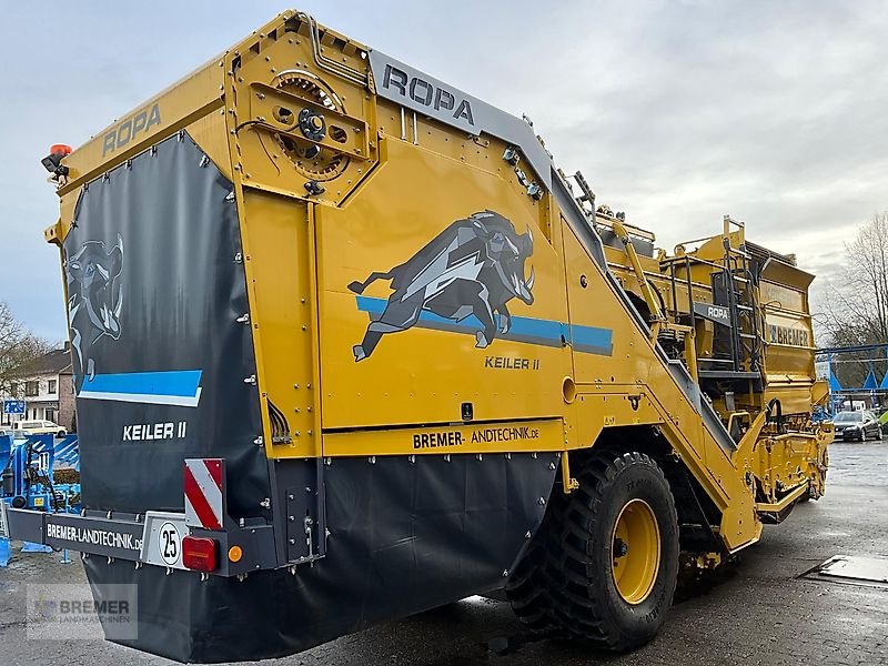 Kartoffelroder van het type ROPA KEILER II  RK22  NonStop Bunker, Vorführmaschine in Asendorf (Foto 8)
