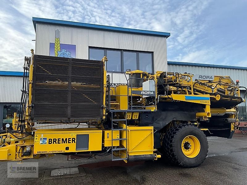 Kartoffelroder van het type ROPA KEILER II  RK22  NonStop Bunker, Vorführmaschine in Asendorf (Foto 2)