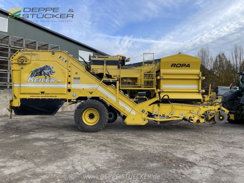 Kartoffelroder des Typs ROPA Keiler II, Gebrauchtmaschine in Lemgo (Bild 1)
