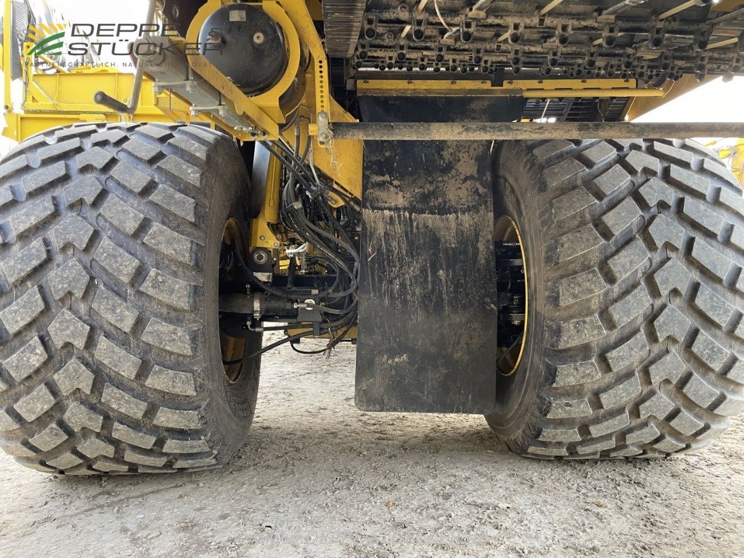 Kartoffelroder typu ROPA Keiler II, Gebrauchtmaschine v Lemgo (Obrázek 11)