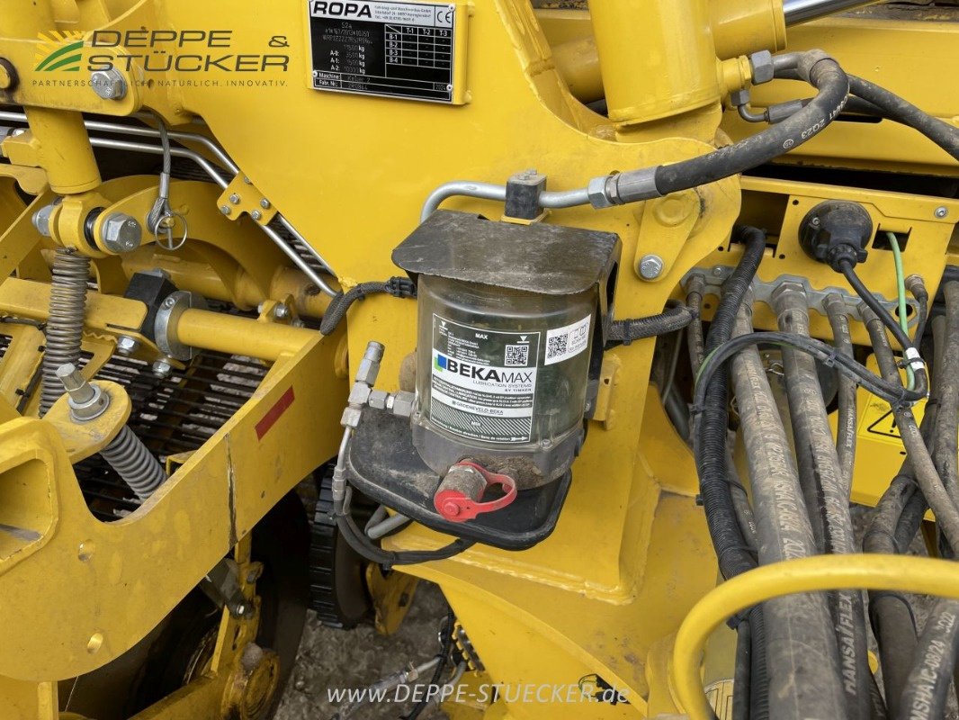 Kartoffelroder typu ROPA Keiler II, Gebrauchtmaschine v Lemgo (Obrázek 20)