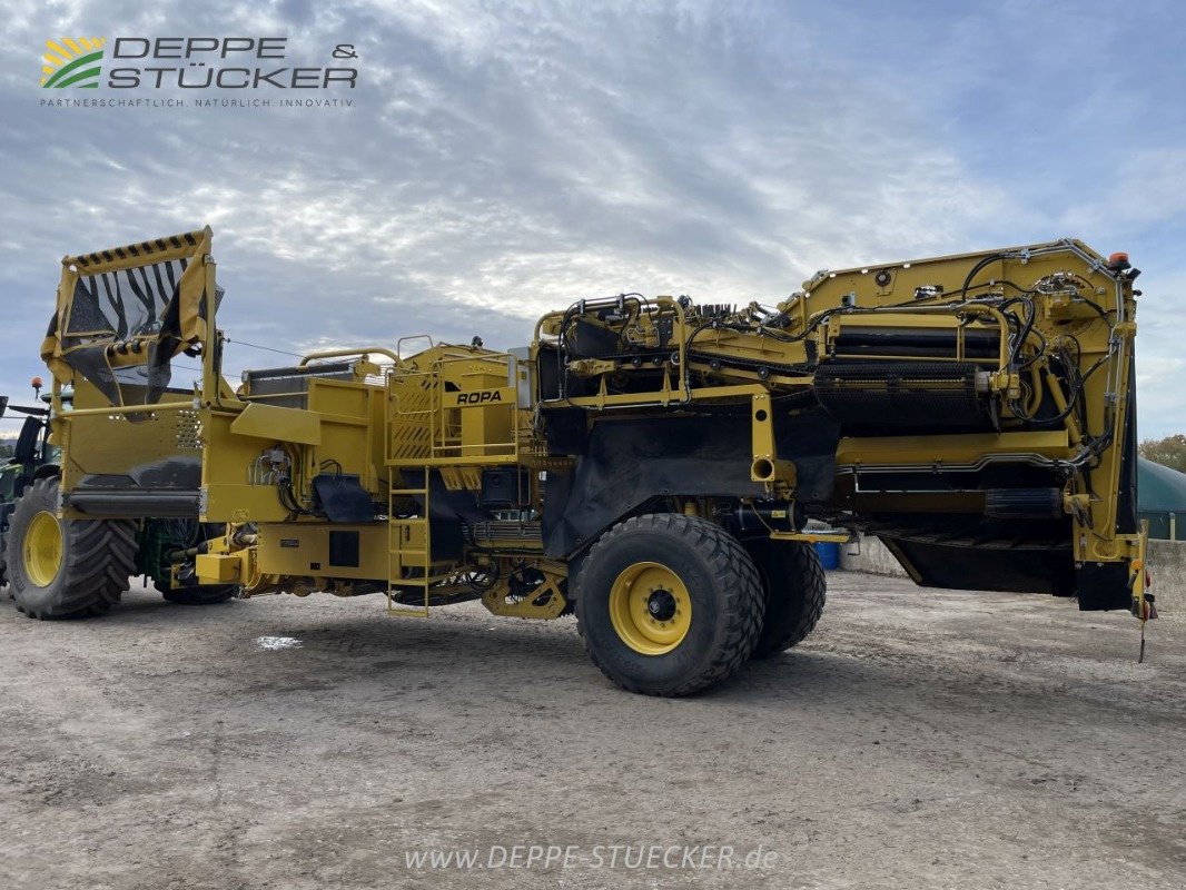 Kartoffelroder typu ROPA Keiler II, Gebrauchtmaschine v Lemgo (Obrázek 17)