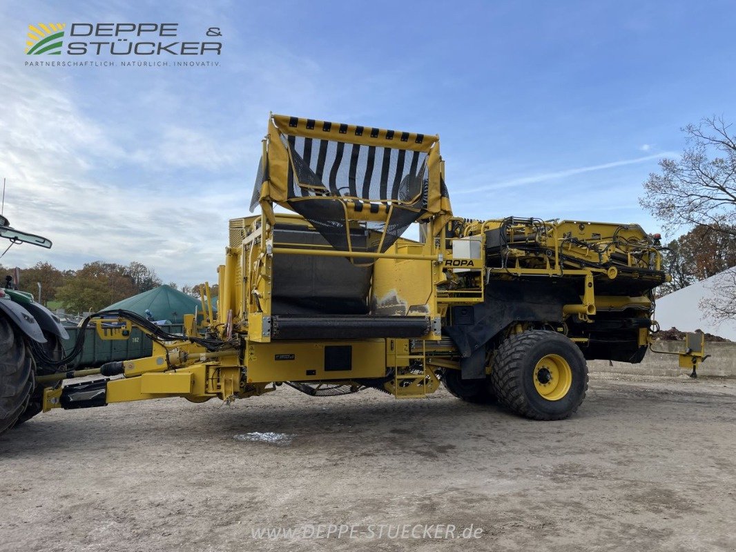 Kartoffelroder typu ROPA Keiler II, Gebrauchtmaschine v Lemgo (Obrázek 19)