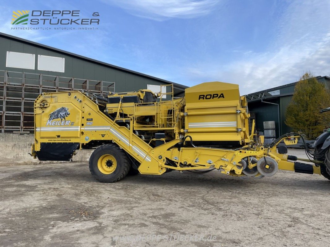Kartoffelroder des Typs ROPA Keiler II, Gebrauchtmaschine in Lemgo (Bild 1)