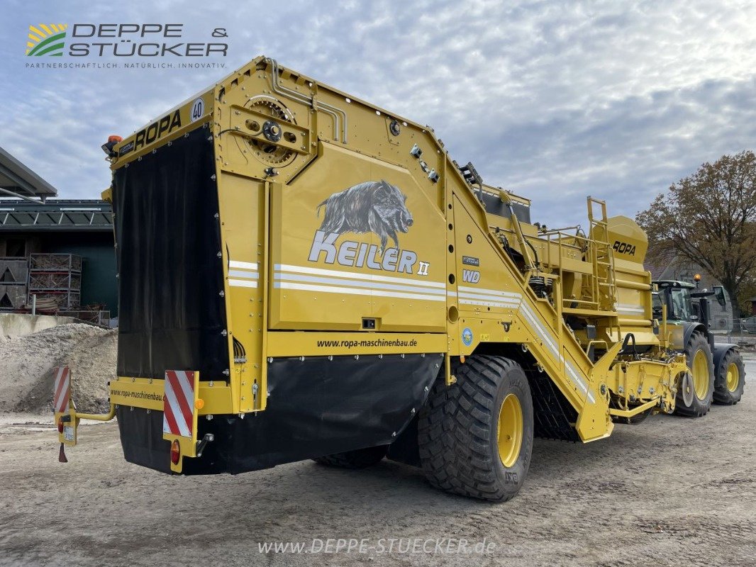 Kartoffelroder des Typs ROPA Keiler II, Gebrauchtmaschine in Lemgo (Bild 8)