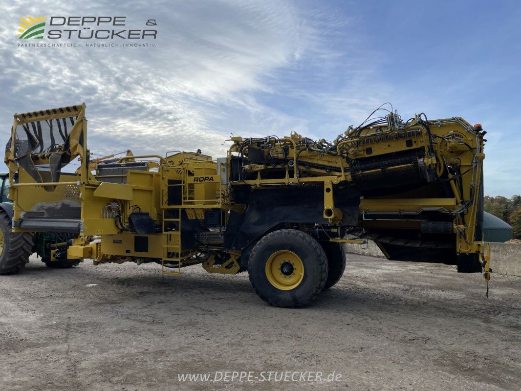 Kartoffelroder des Typs ROPA Keiler II, Gebrauchtmaschine in Lemgo (Bild 19)