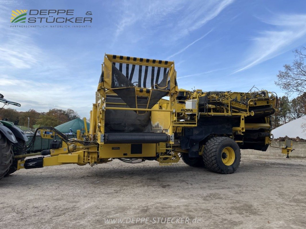 Kartoffelroder des Typs ROPA Keiler II, Gebrauchtmaschine in Lemgo (Bild 21)