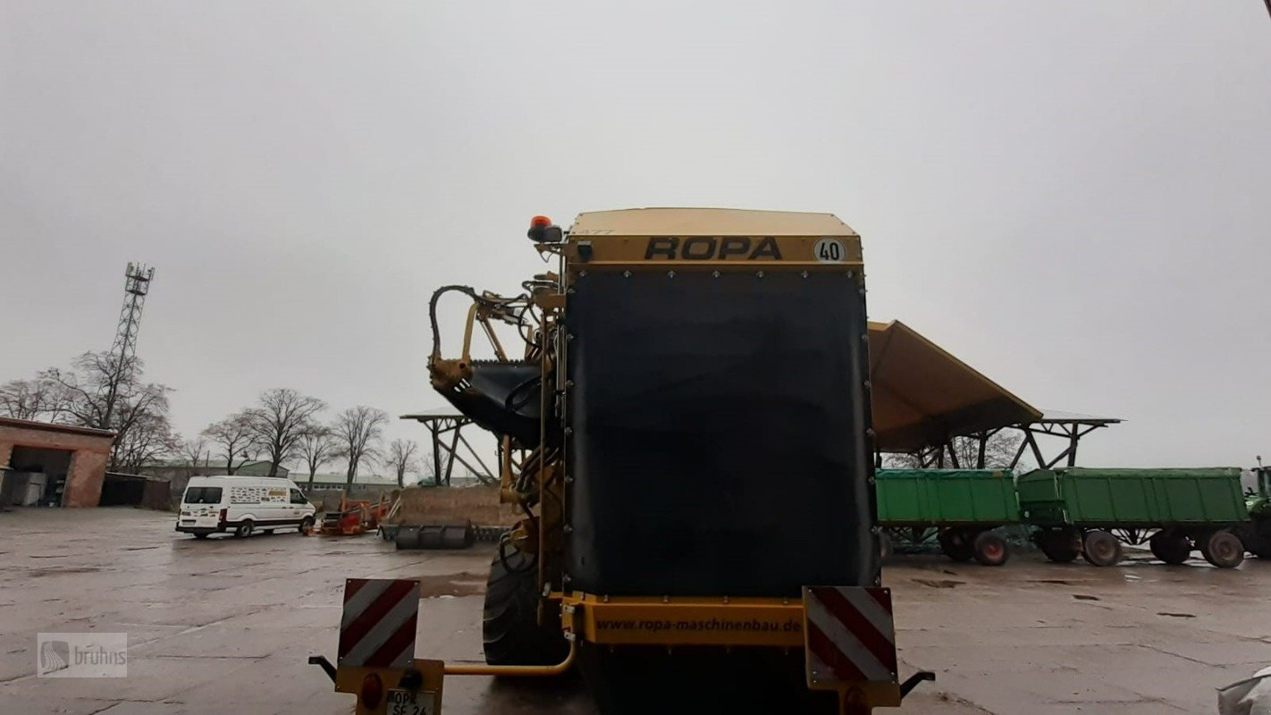 Kartoffelroder des Typs ROPA Keiler II, Gebrauchtmaschine in Perleberg (Bild 4)