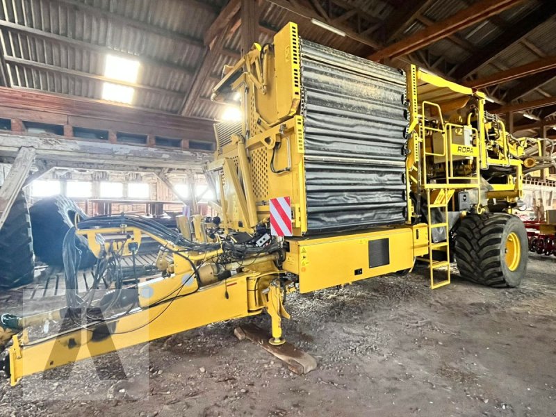 Kartoffelroder van het type ROPA RK 21, Gebrauchtmaschine in Regensburg (Foto 1)