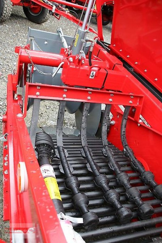 Kartoffelroder typu Unia Bolko Bunkerroder einreihig 1,9 m³, Neumaschine v Ostheim/Rhön (Obrázek 12)