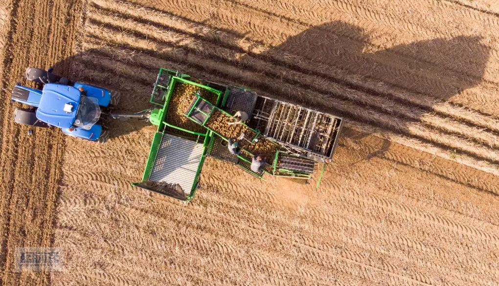 Kartoffelvollernter typu AVR Spirit 7200, Neumaschine v Salching bei Straubing (Obrázek 3)