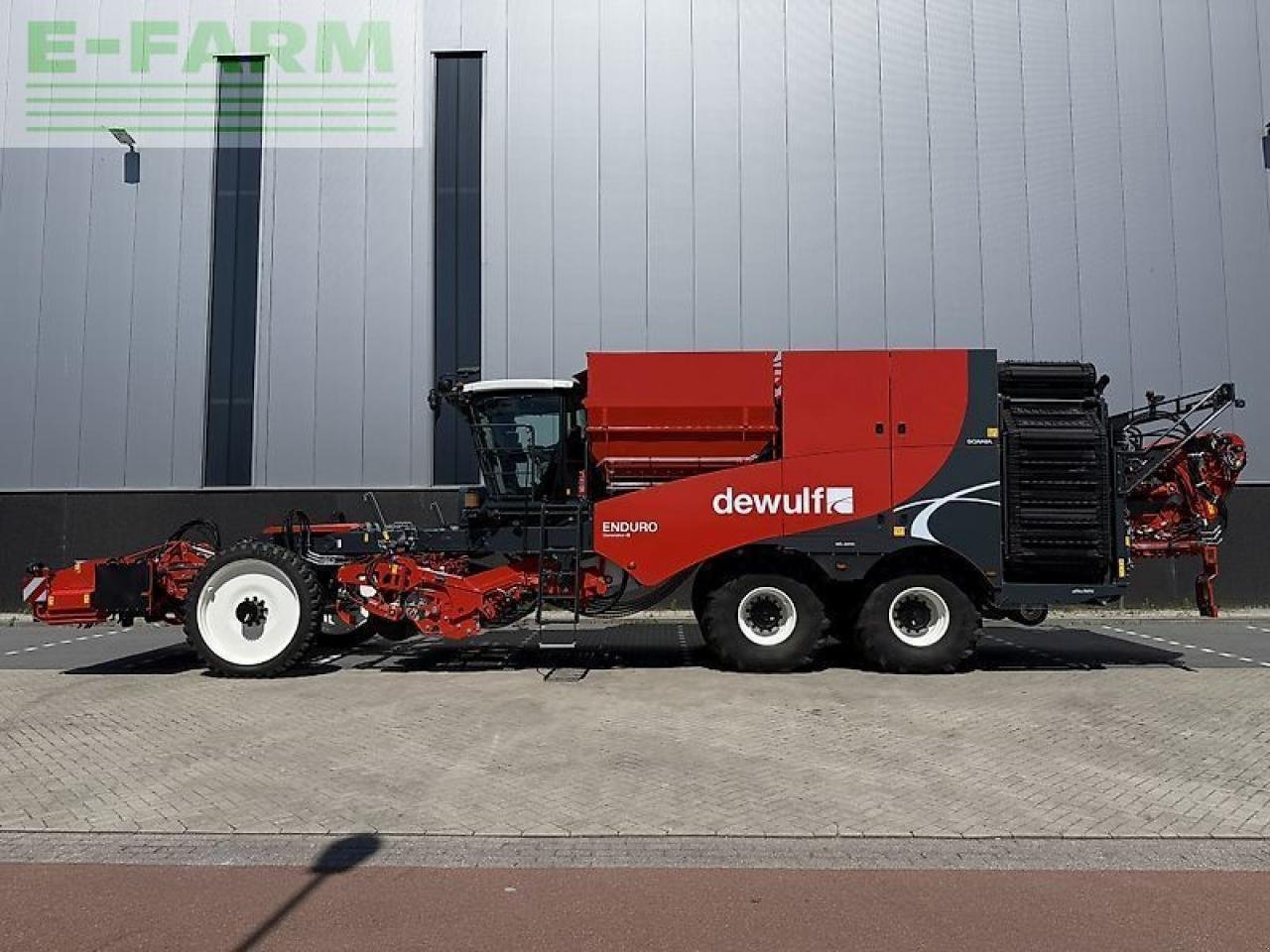 Kartoffelvollernter typu Dewulf enduro gen2, Gebrauchtmaschine v gg VEGHEL (Obrázek 7)