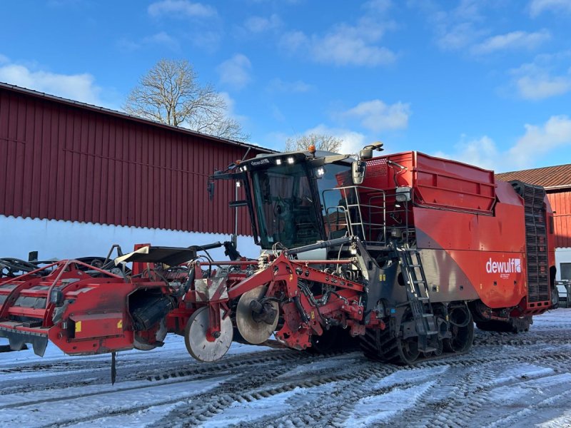 Kartoffelvollernter tipa Dewulf Kwatro GII Flexiweb + Axialruller, Gebrauchtmaschine u Horsens