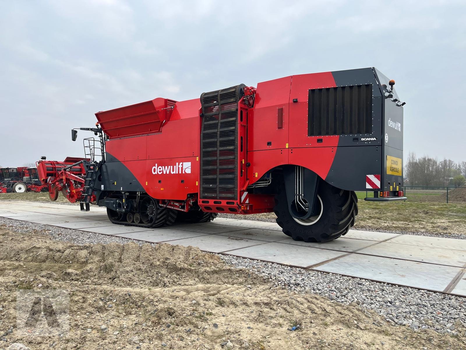 Kartoffelvollernter typu Dewulf Kwatro, Gebrauchtmaschine v Leiblfing (Obrázek 4)