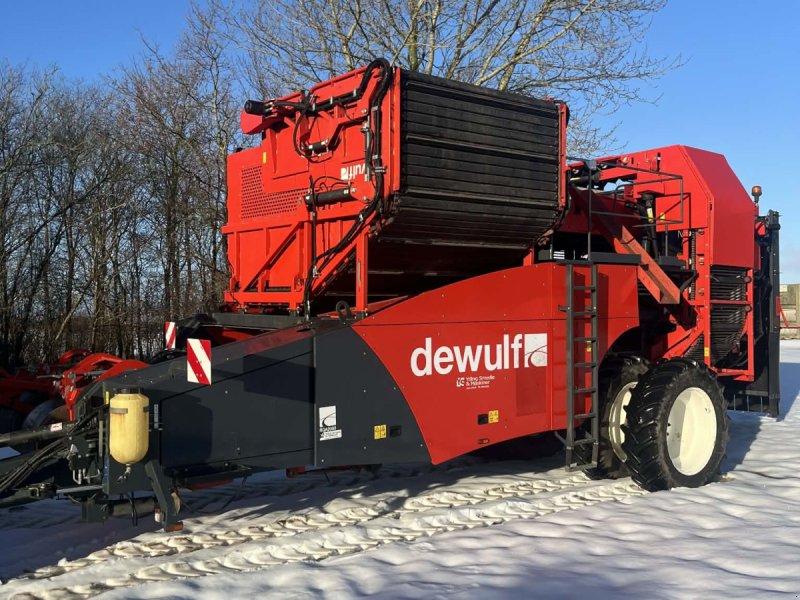 Kartoffelvollernter tip Dewulf RQA2060 HJULTRÆK, Gebrauchtmaschine in Thisted