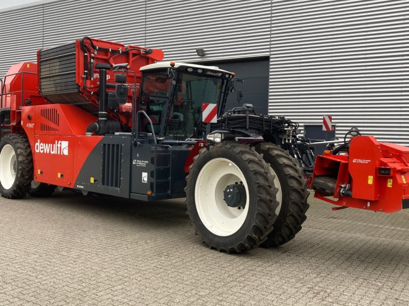 Kartoffelvollernter des Typs Dewulf RQA3060 Demomaskine, Gebrauchtmaschine in Horsens (Bild 1)