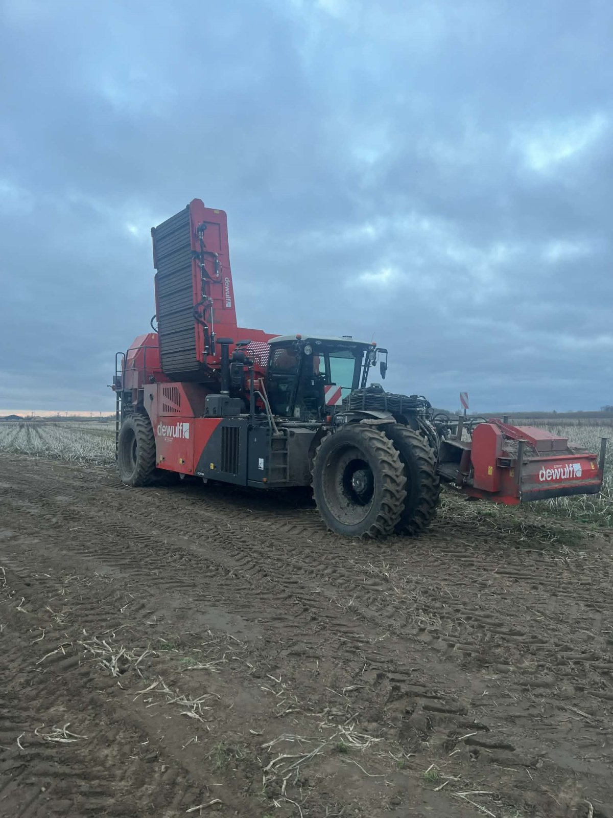 Kartoffelvollernter typu Dewulf RQA3060, Gebrauchtmaschine w Thisted (Zdjęcie 1)