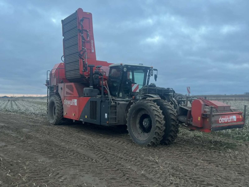 Kartoffelvollernter του τύπου Dewulf RQA3060, Gebrauchtmaschine σε Thisted (Φωτογραφία 1)