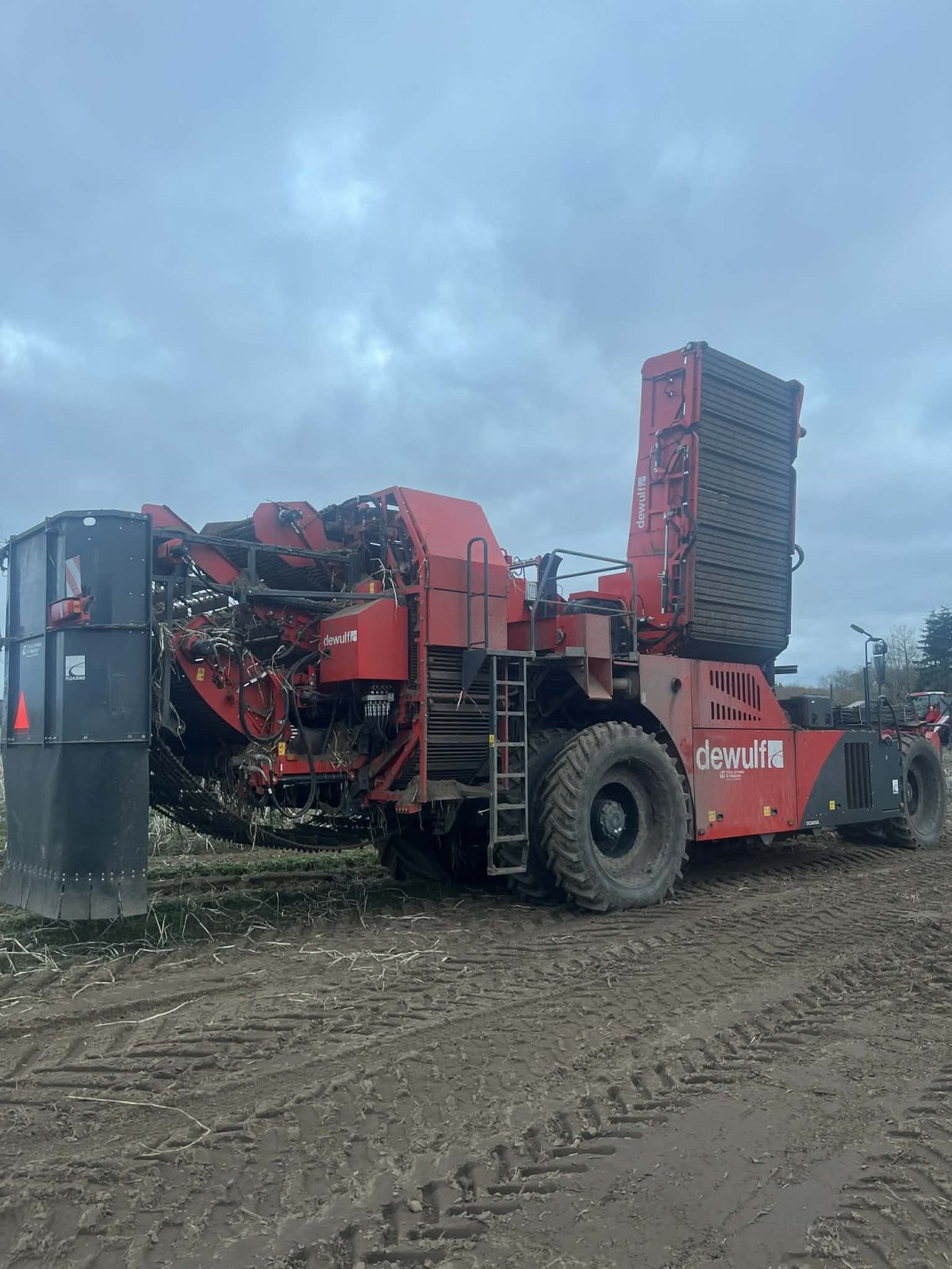Kartoffelvollernter typu Dewulf RQA3060, Gebrauchtmaschine w Thisted (Zdjęcie 4)