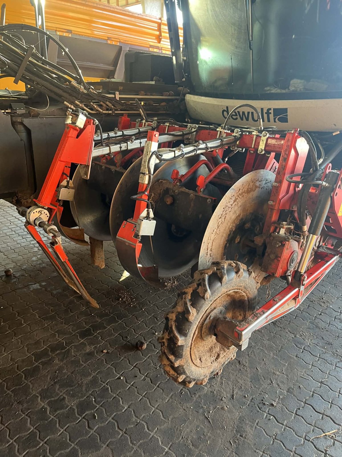 Kartoffelvollernter typu Dewulf RQA3060, Gebrauchtmaschine w Thisted (Zdjęcie 5)
