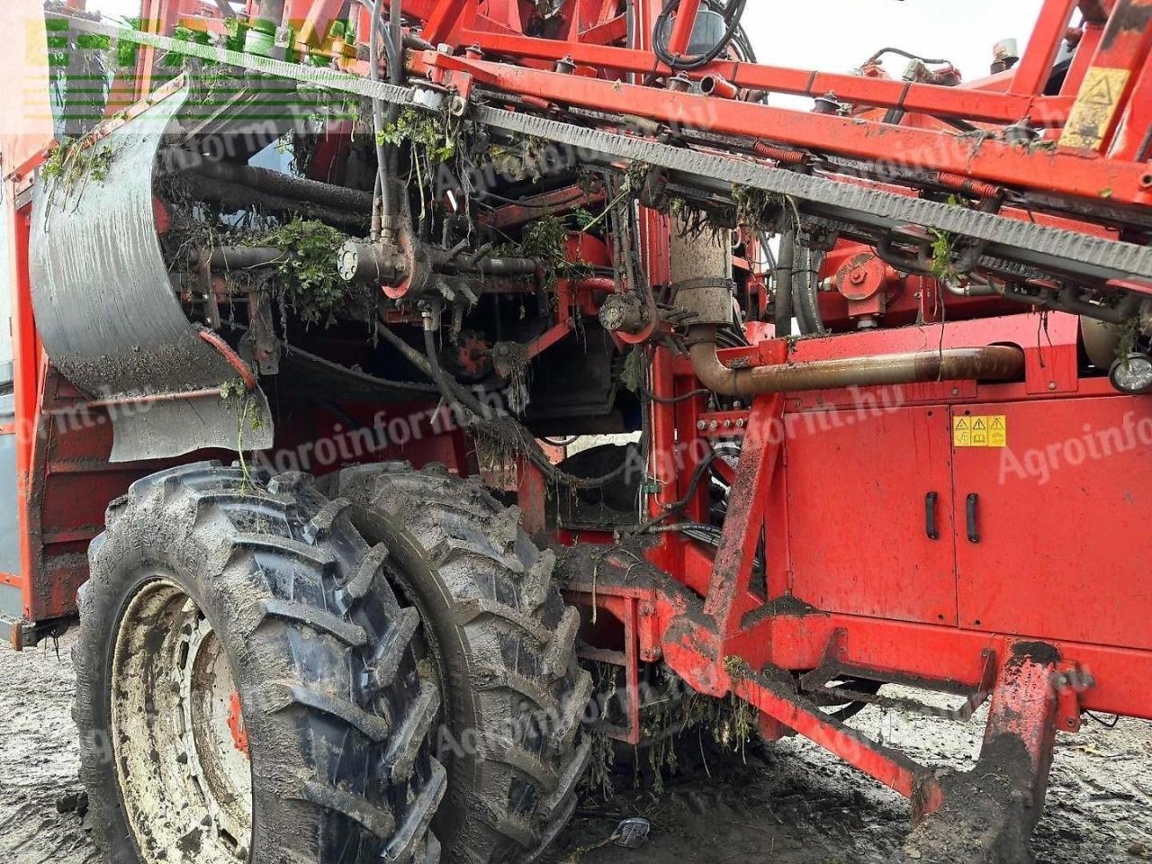 Kartoffelvollernter tip Dewulf ZKll, Gebrauchtmaschine in Hamburg (Poză 4)