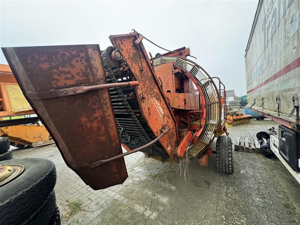 Kartoffelvollernter typu Grimme Europa Sandard, Gebrauchtmaschine v Ringe (Obrázek 10)