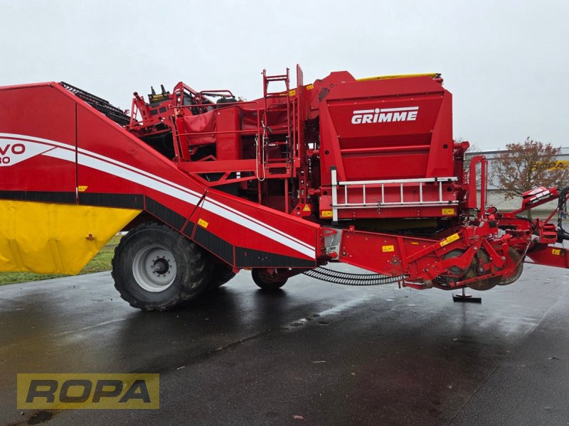 Kartoffelvollernter типа Grimme EVO 280 ClodSep, Gebrauchtmaschine в Viersen (Фотография 1)