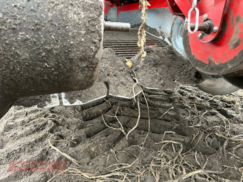 Kartoffelvollernter za tip Grimme EVO 280 ClodSep, Gebrauchtmaschine u Suhlendorf (Slika 3)