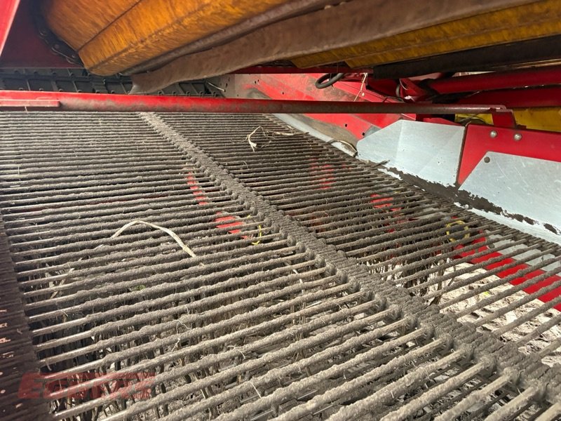 Kartoffelvollernter za tip Grimme EVO 280 ClodSep, Gebrauchtmaschine u Suhlendorf (Slika 8)